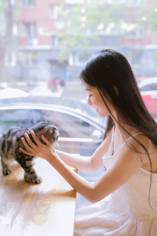 因为爱 电视剧